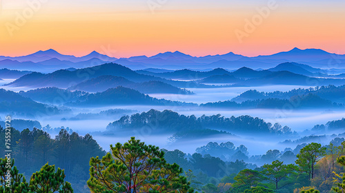 View of fog-covered mountain range