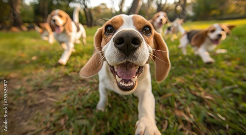 Autumn Frolic: Joyful Beagles Sprinting Through a Park Adorned With Fall Leaves - Generative AI
