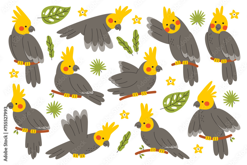 Cute corella parrot bird cartoon character sitting on tree branch, flying, talking and gesturing set Cute corella parrot bird cartoon character sitting on tree branch, flying, talking and gesturing set