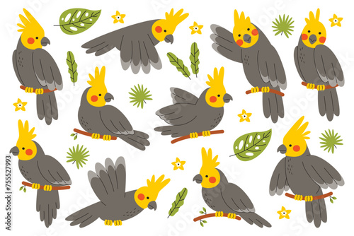 Cute corella parrot bird cartoon character sitting on tree branch, flying, talking and gesturing set