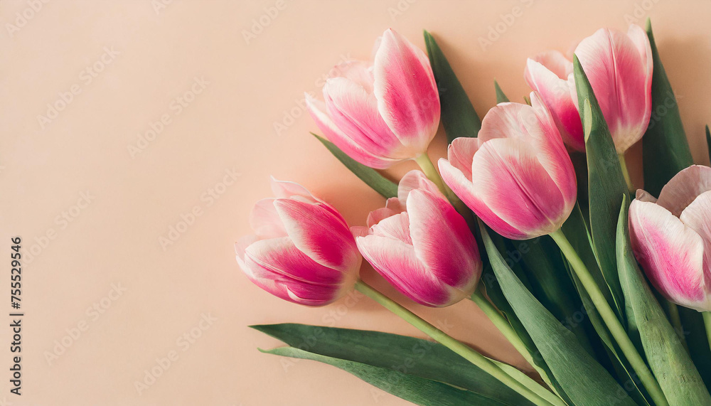 Pink tulip flowers on pastel peach background. Image for a wedding, women's day or mother's day themed greeting card or invitation Pink tulip flowers on pastel peach background. Image for a wedding, women's day or mother's day themed greeting card or invitation