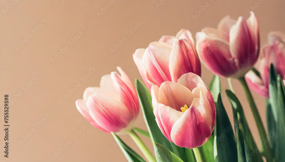 Fototapeta premium Pink tulip flowers on pastel peach background. Image for a wedding, women's day or mother's day themed greeting card or invitation