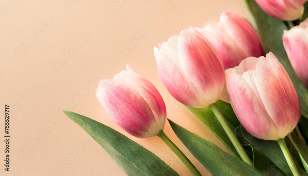 Naklejka premium Pink tulip flowers on pastel peach background. Image for a wedding, women's day or mother's day themed greeting card or invitation
