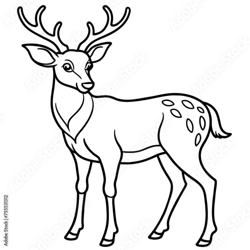 Deer, reindeer, red deer, roe, maral, fawn, doe, beast, pet, vector, illustration, draw, cartoon, pretty, cute © Gleb