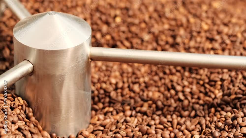 Production and roasting of coffee beans. Coffee roasting. Bags of