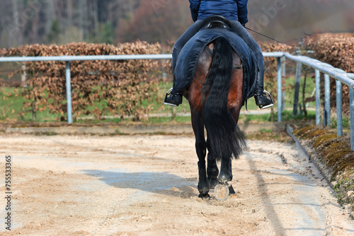 Фотография Horse with rider training on the riding arena, horse with kidney cover close-up legs and horse body