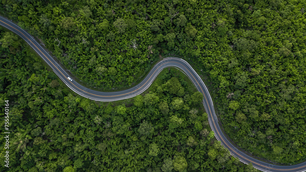 Aerial view road through the green forest, Car drive going through forest, Aerial top view forest, Texture of forest view from above, Ecosystem and healthy environment concept and background. - obrazy, fototapety, plakaty 