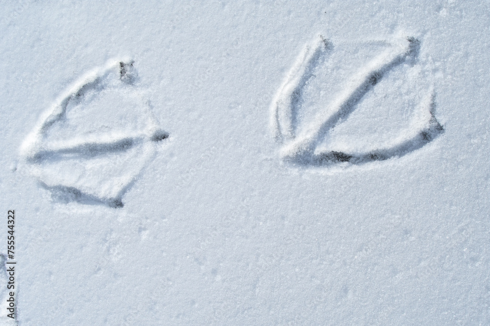 雪上に残った水鳥の足跡。