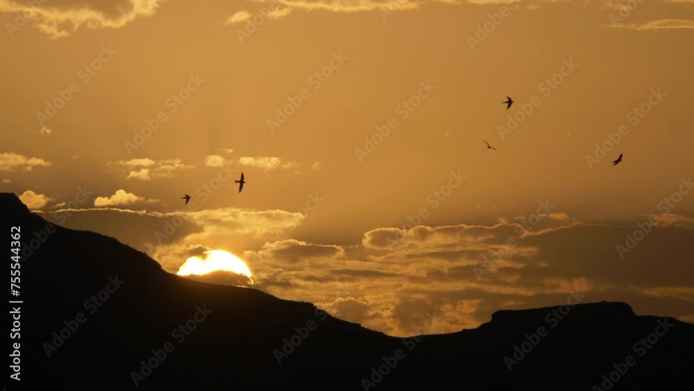 Atardecer sol se oculta en montaña, nubes, vencejos volando
