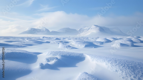 Snow-covered landscapes with polar bears in the distance background