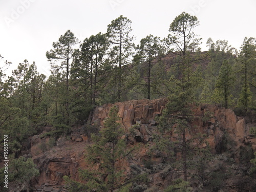 Vilaflor de Chasna (Tenerife, Canary Islands, Spain) photo