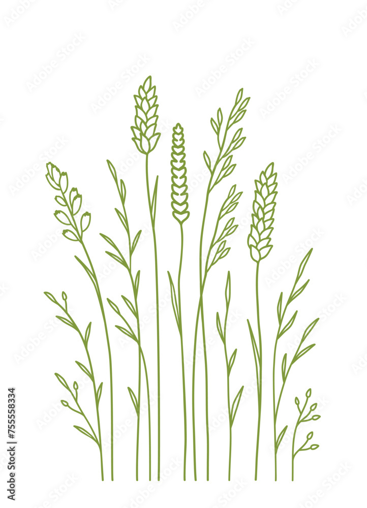 Fototapeta premium Wild grasses pattern with field flowers, herbs and meadow plants