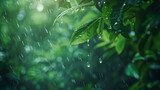 The Falling Drop: Macro Rain Portrait in a Lush Forest