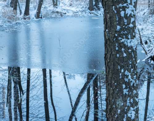 Zimowy krajobraz nad wodą w lesie 1