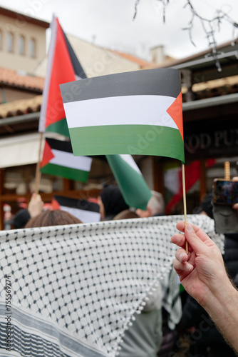 Pro-Palestinian protests. Palestine Flags. Free Palestine.