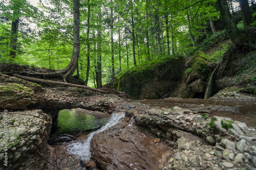 Forest spring in southern Swabia. Riedbach - small river in Allgäu. Small stream in rocky ravine with green trees around. Forest spring in southern Swabia. Riedbach - small river in Allgäu. Small stream in rocky ravine with green trees around.