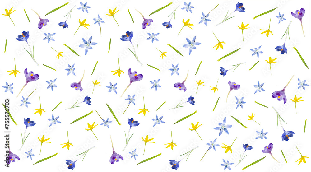  Seamless pattern from different spring flowers isolated on a white background. Top view. Springtime Florals