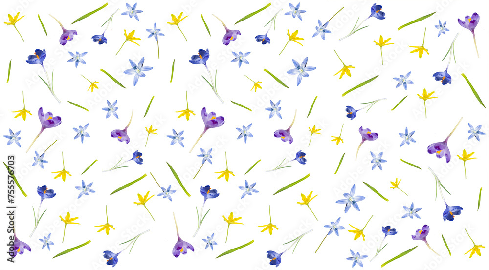Seamless pattern from different spring flowers isolated on a white background. Top view. Springtime Florals Seamless pattern from different spring flowers isolated on a white background. Top view. Springtime Florals