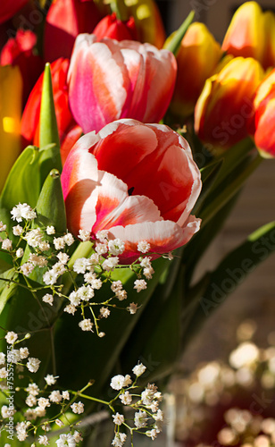 decoration of spring tulips in the easter time
