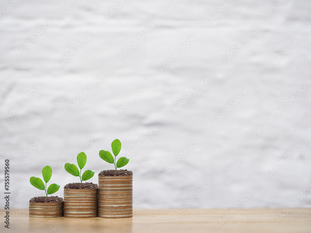Plants growing up on stack of coins. The concept of saving money, Financial, Investment and Business growing. Plants growing up on stack of coins. The concept of saving money, Financial, Investment and Business growing.