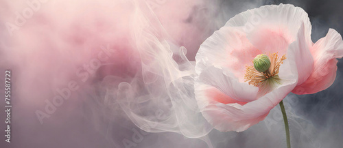 Pastel poppy, pink flower