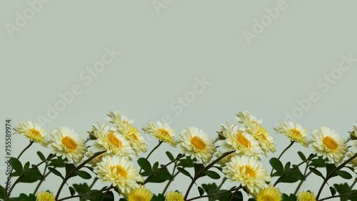 Floral blank for background and design with flowers © Viktor Boiko