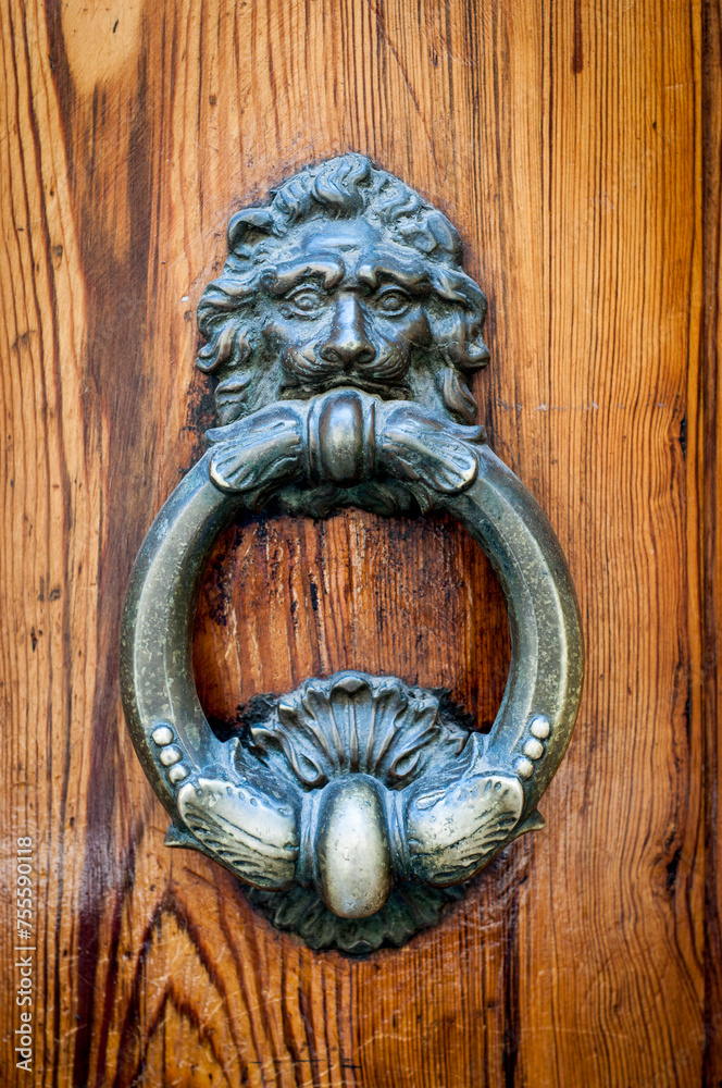 Ornate Antique Door Knocker on Weathered Wood
