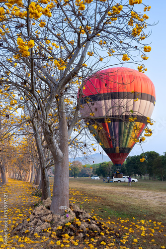 Hot air balloon and car, A car was parked in the park to launch a balloon into the sky. prepare to fire up