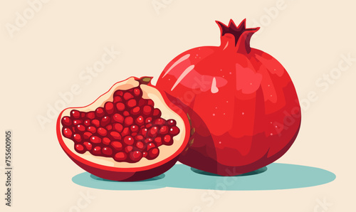 Ripe pomegranate vector flat minimalistic isolated vector style illustration