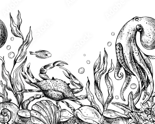 Underwater world clipart with sea animals whale, turtle, octopus, seahorse, starfish, shells, coral and algae. Graphic illustration hand drawn in black ink. Seamless border EPS vector.
