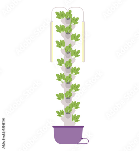Aeroponic tower system with salad flat vector illustration isolated on white.