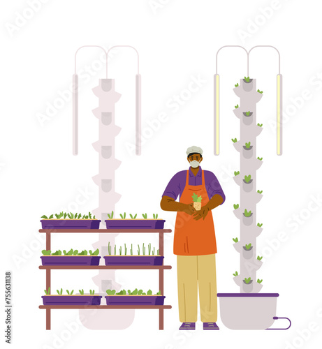 African American farmer holding seedling near aeroponic tower for crop production flat vector illustration.