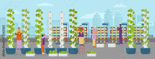 Urban vertical farm with workers on the roof top flat vector illustration.  Aeroponic towers with crops and hydroponic systems with strawberry.