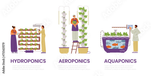 Modern crop production systems for vertical farming vector illustrations set. Hydroponics, aeroponics and aquaponics systems.