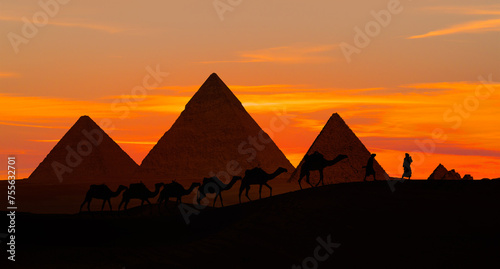 Camel caravan in front of the Great pyramid of Giza complex - Cairo  Egypt
