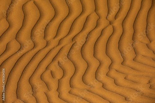 Sand dunes are natural formations typically found in deserts, coastal regions, and other areas with significant amounts of loose sand. These dunes are created and shaped by the wind.
