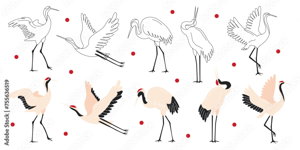 Fototapeta premium Japanese cranes and birds graphic black-and-white storks in different poses set vector illustration