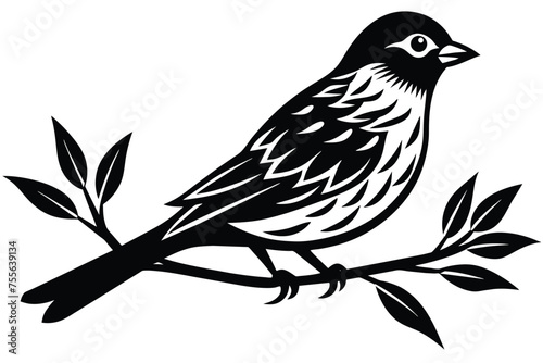 A Bird vector Illustration Design