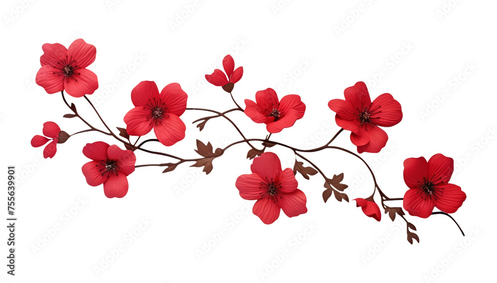 red flowers isolated on transparent background cutout