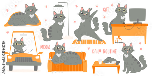 Lovely cat cartoon character daily routine, everyday schedule of work and rest vector illustration