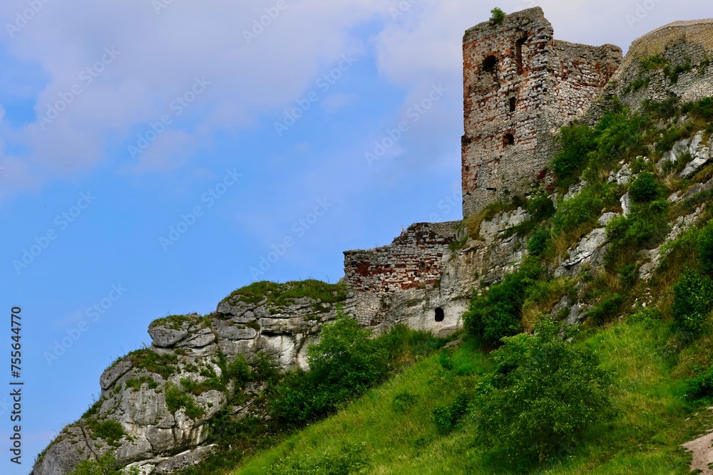 Medeival castle remains