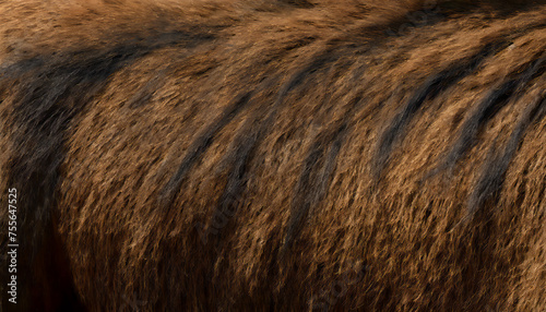 Horse Fur for Background, textures and wallpaper