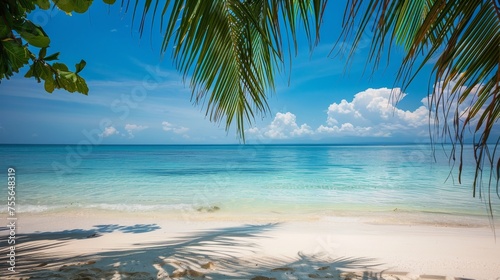 Tropical beach scene with clear blue water and white sand, palm trees, without people.