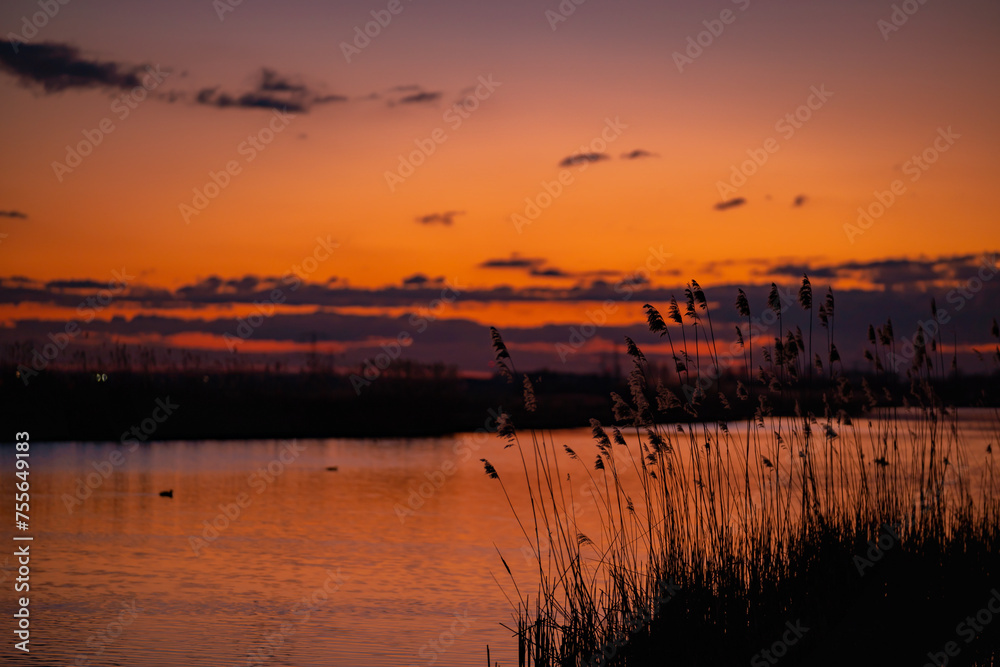 Scenic view of beautiful sunset above the lake at spring in the evening with cloudy sky background and reed grass at foreground. Water reflecting in warm color