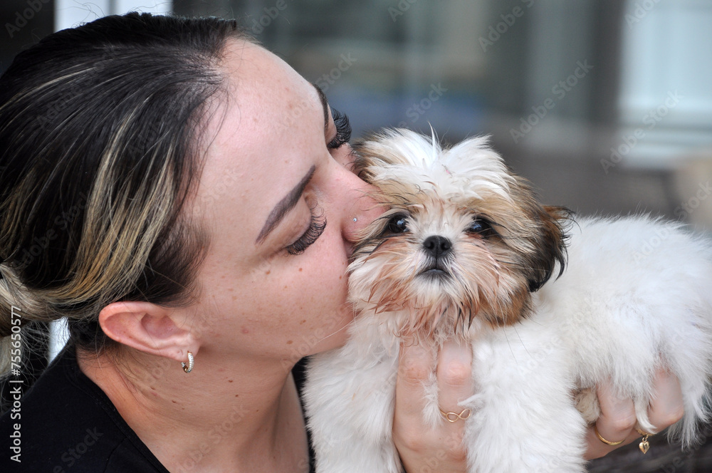 mulher jovem com shih tzu filhote fofo, amor canino mulher jovem com shih tzu filhote fofo, amor canino
