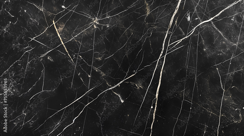 Elegant Black Marble Texture with Intricate White Veining Elegant Black Marble Texture with Intricate White Veining