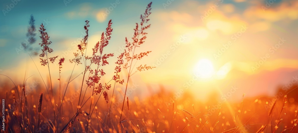 Abstract summer plantation view ideal for background illustration and design projects