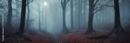 Dense Misty Forest With Abundant Trees