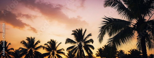 Palm Trees Silhouetted Against Vivid Sunset