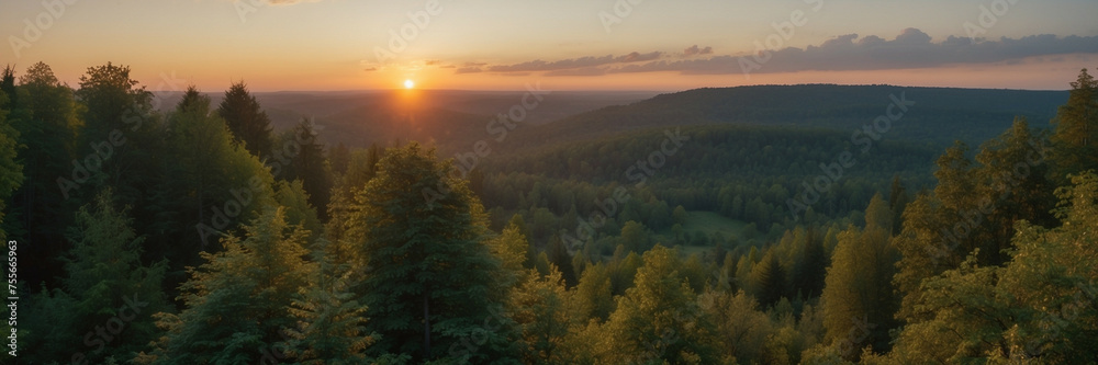 Sunrise Over a Lush Green Forest